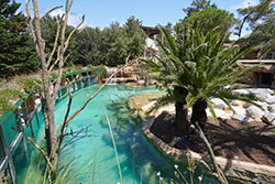 Bassin des loutres géantes du Zoo de la Palmyre