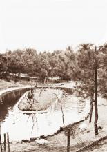 Ouverture du Zoo de La Palmyre en 1966