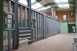 Batiment éléphant zoo palmyre