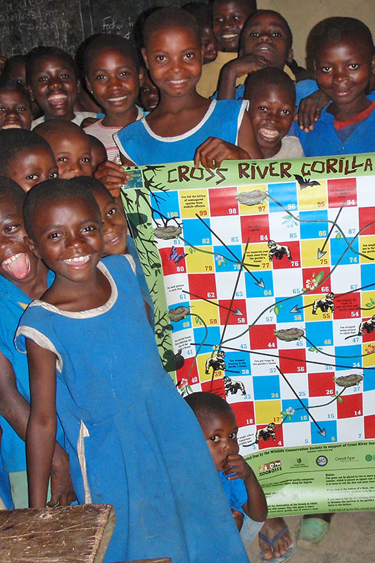 Conservation gorille riviere cross zoo palmyre