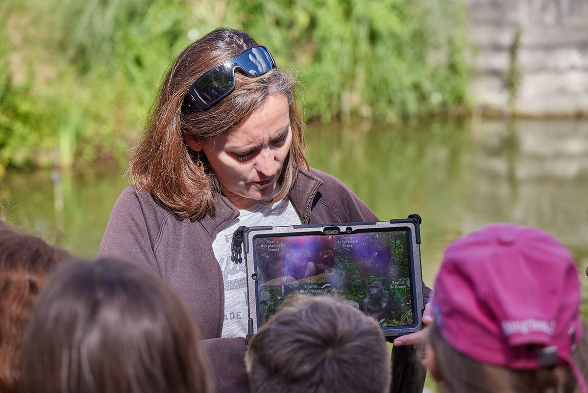 Ateliers pédagogique au zoo de la palmyre