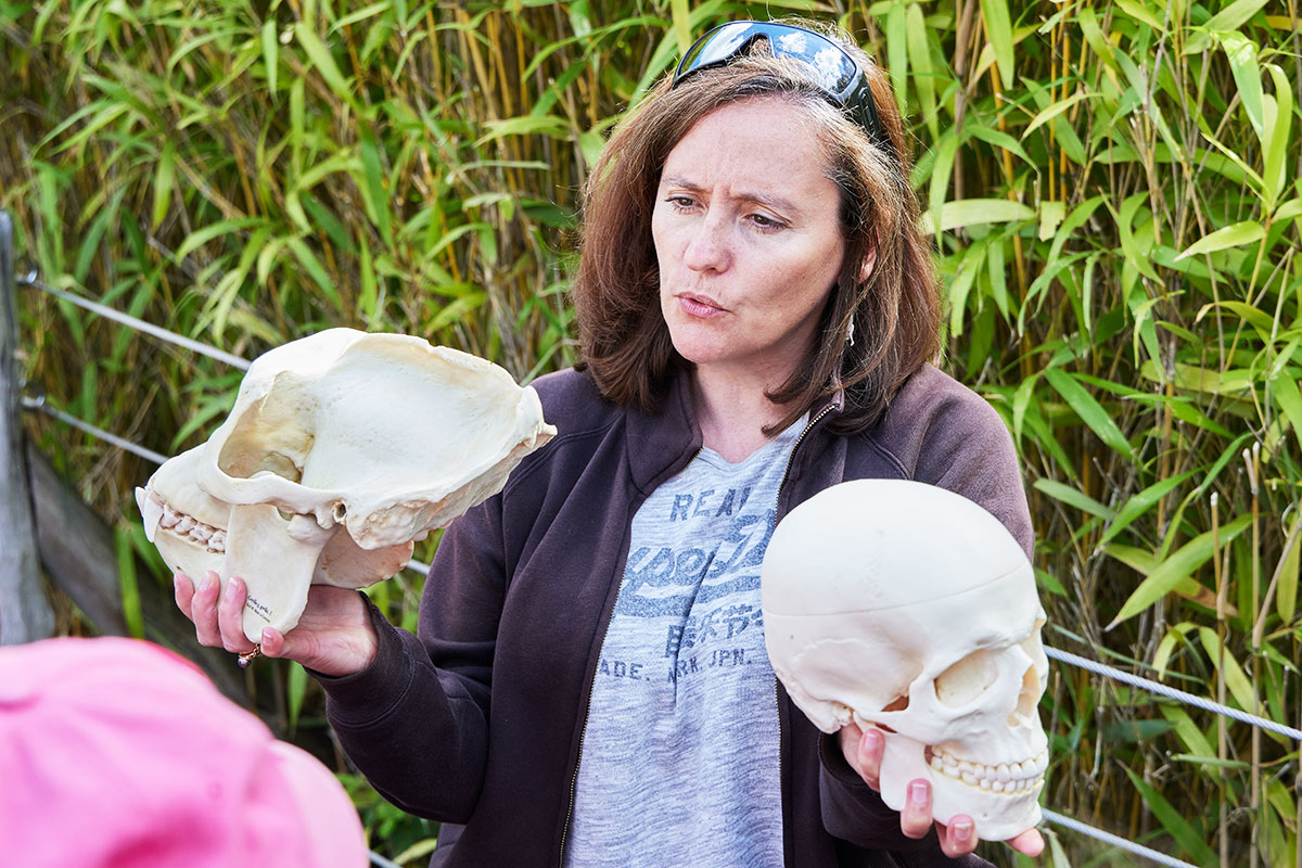Ateliers pédagogique au zoo de la palmyre