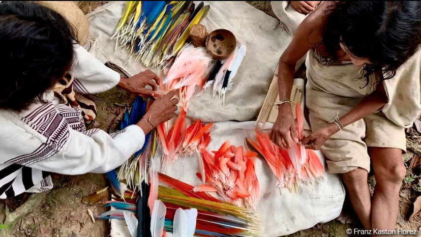 Collecte de plume pour les Kogies par le Zoo de la Palmyre