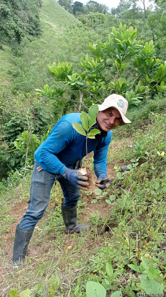 Proyecto Titi, Zoo de la Palmyre