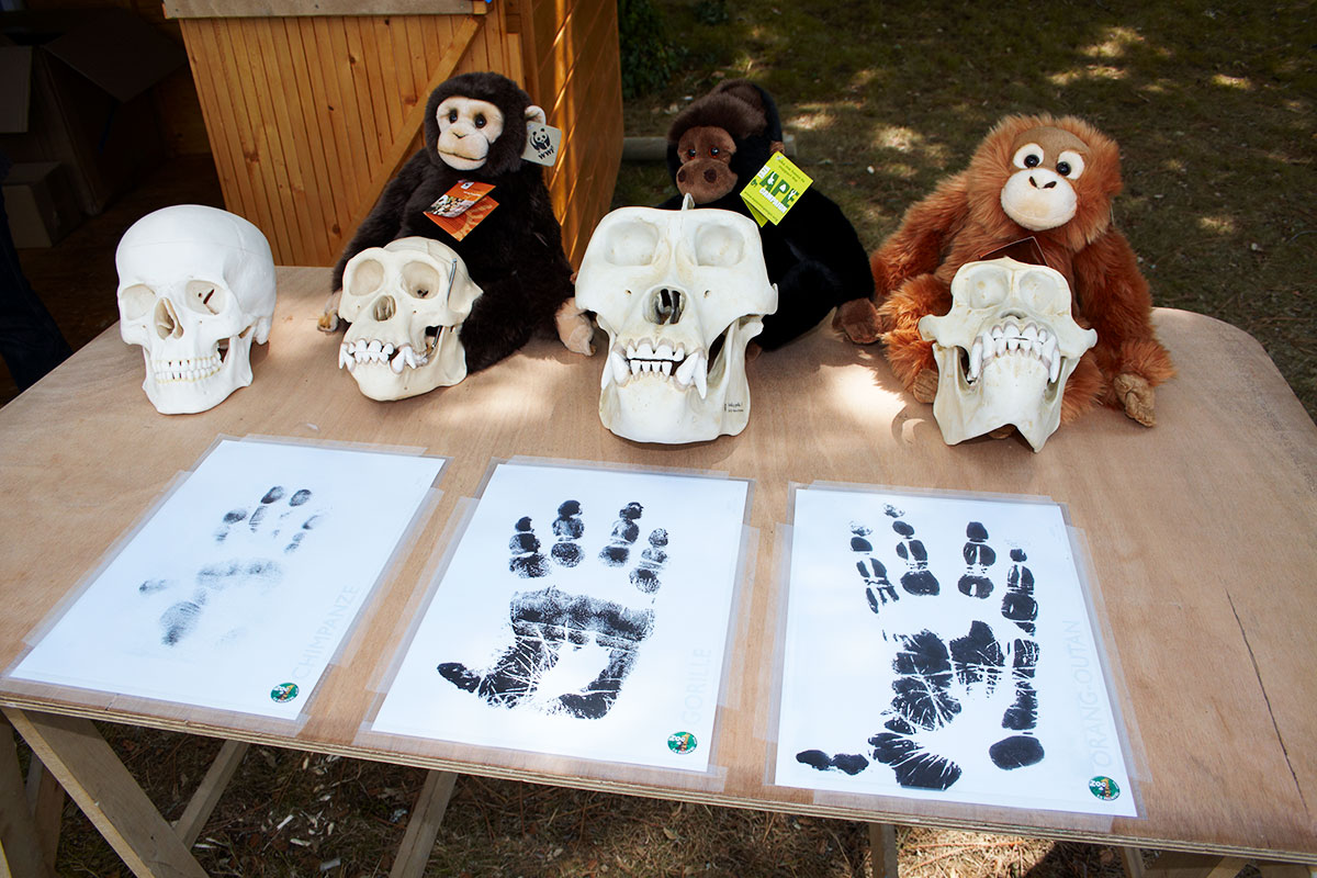 Stand campagne de sensibilisation Zoo de la Palmyre
