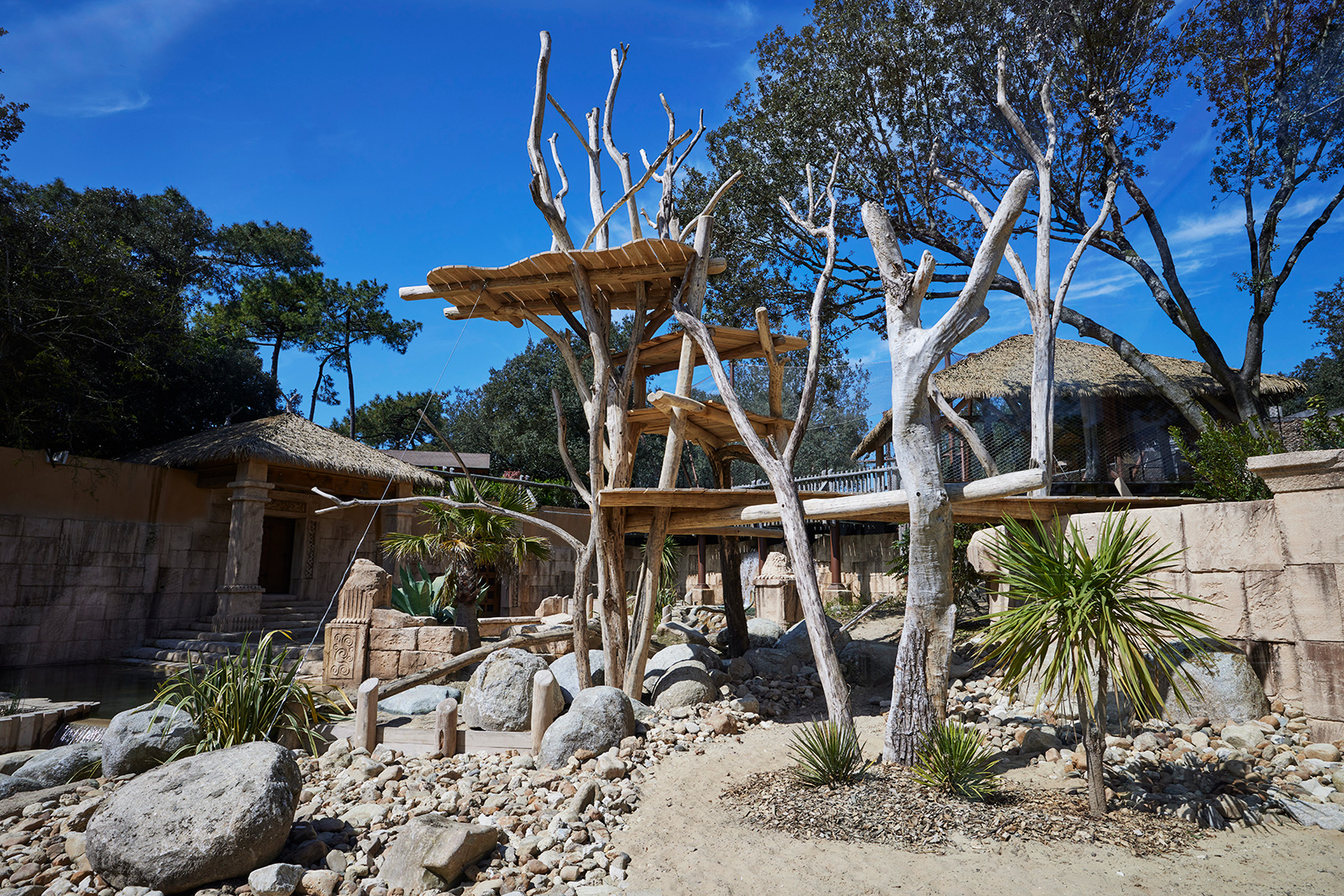 Espace Tigres au Zoo de La Palmyre
