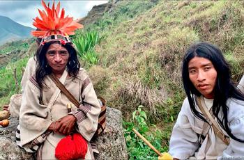 Collecte de plumes pour les Kogis par le Zoo de la Palmyre